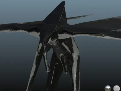 Male Muto Free 3D model