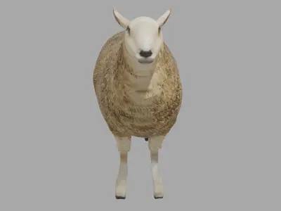 Sheep obj and blend Low-poly 3D model
