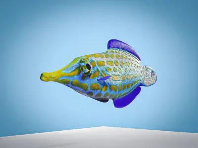 Colorful harlequin coral reef fish Low-poly 3D model