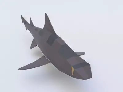 Leopard shark fish low poly 3d model  Low-poly 3D model