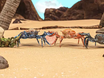 Royal Crab - King Sebastian - Realistic Rigged Animated - 18 Low-poly 3D model