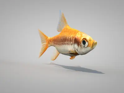 Fish Dourado 3D model