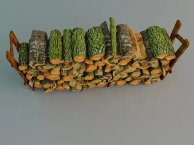 Old Woods Free 3D model