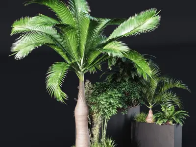 HQ Tree and bush garden box outdoor VOL 09 Free 3D model