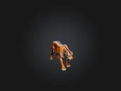 Realistic Hurt Tiger Model Low-poly 3D model