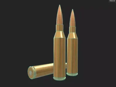 300 Norma Magnum Ammo Low-poly 3D model