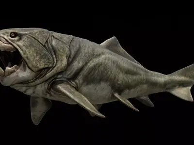Dunkleosteus Prehistoric Fish Low-poly 3D model
