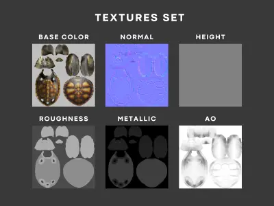 Realistic Sea Turtle Low Poly 3D Model PBR Textures Low-poly 3D model