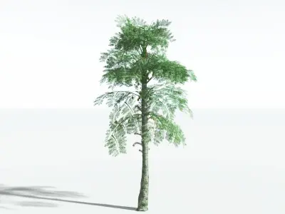 EVERYPlant Alethopteris Seed Fern 2 --12 Models-- 3D model