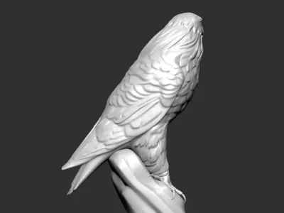 Eagle 3d model Free 3D print model