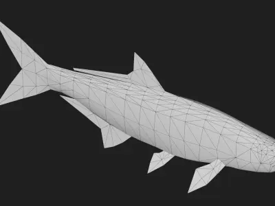 Tarpon Low-poly 3D model