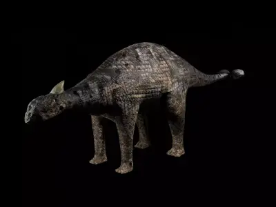 Ankylosaurs dinosaur Low-poly 3D model