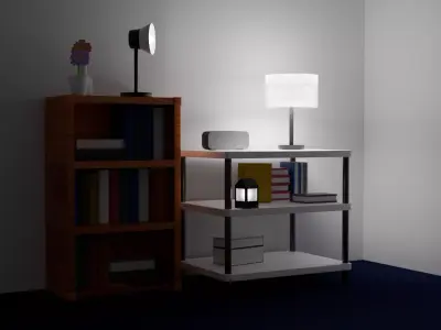 Beginner Wooden Shelf Bookcase and White Shelf Free 3D model