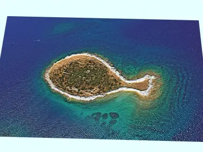 Fish Shaped Island 3D model
