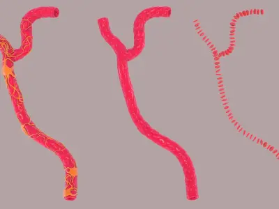 Capillary with Blood Cells 3D model