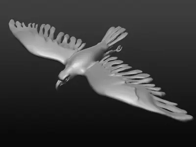 bald eagle 3D model