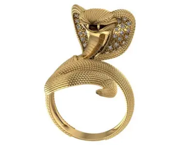 An 2461 Naja cravejada 3D print model