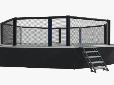 Fighting Octagon Arena 3D Model purchase