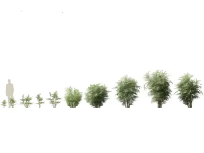 Jungle Foliage Pack 16 3D model