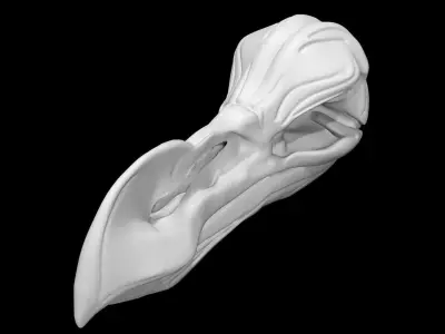 Dodo skull Low-poly 3D model