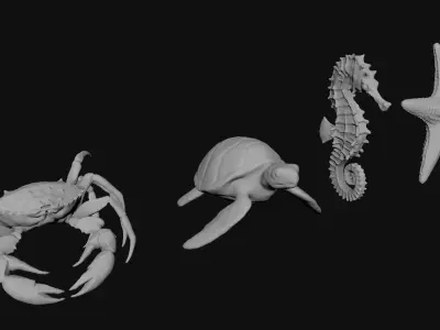 Sea Animals 3D model