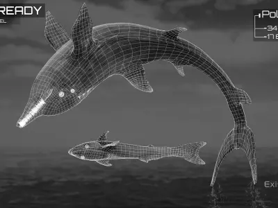 Dolphin and Remora - Realistic Animated Marine Monster - 62 Low-poly 3D model