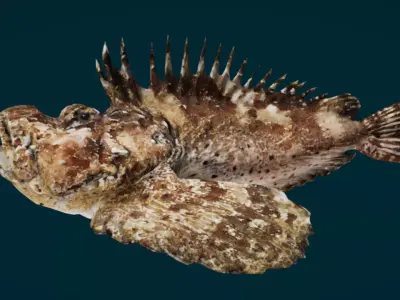 Demon Stinger Fish 3D model