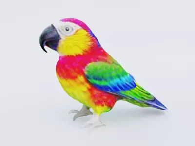 Parrot Free 3D model