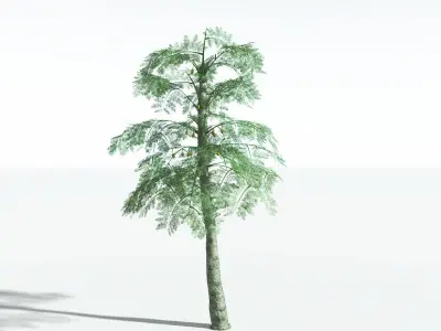 EVERYPlant Alethopteris Seed Fern 4 --12 Models-- 3D model