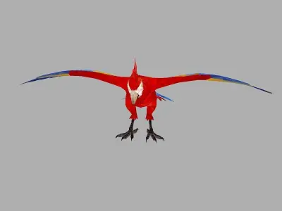 Red Parrot Low Polygon Art Bird Animal Low-poly 3D model