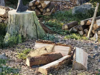  Split Conifer Firewood Models Collection 