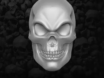 Skull Collection Heads 3D printable File 3D print model