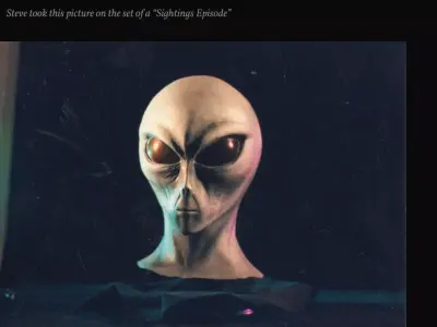 Sightings SHOW alien bust 3D print model