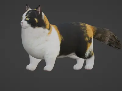 Cat Rigged 3D model
