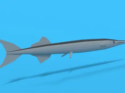 Low Poly Cartoon Garfish Low-poly 3D model