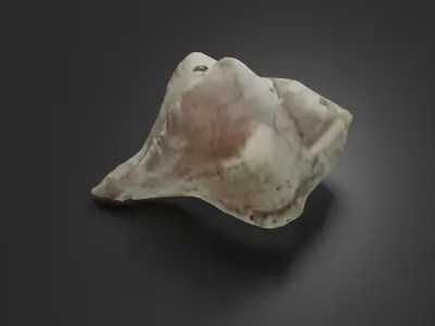 Photoscanned low poly sea shell Free low-poly 3D model