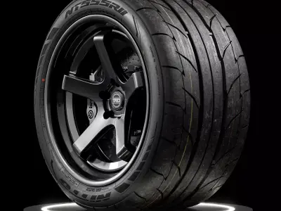 Nitto NT555 R2 345 30 R19 105W 3D model
