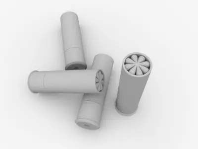 Shotgun Shells 3D model
