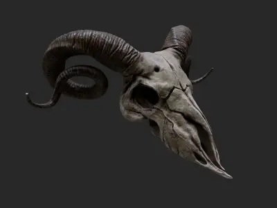 Ram Skull - Lowpoly and Highpoly Low-poly 3D model