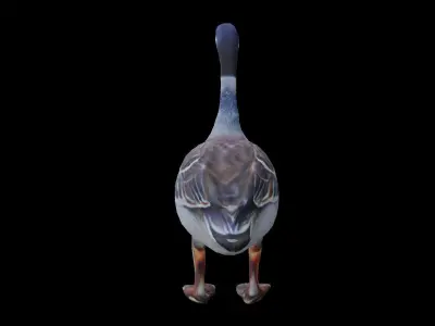 Realistic Goose LOW POLY Low-poly 3D model