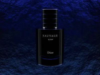 Dior Sauvage Elixir 100ml 3D model