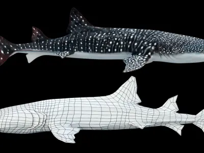 Animated Whale Shark Low-poly 3D model