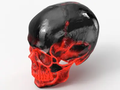 Human Skull Sci-fi Hot 3D model