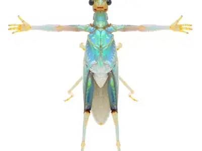 Iridescent Mantis model pack Low-poly 3D model