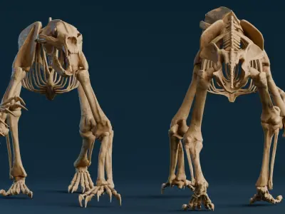 Realistic Mammals Fossil - Short Faced Bear Low-poly 3D model