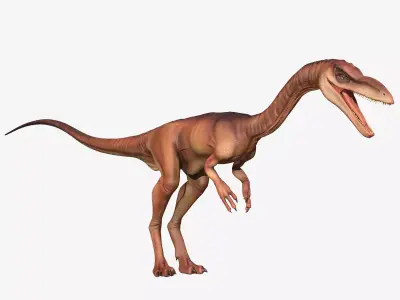 Coelophysis dinosaur Low-poly 3D model