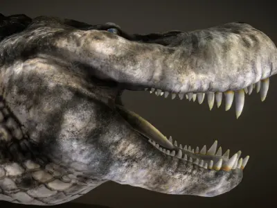 Purussaurus Low-poly 3D model