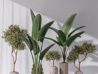 Bird Of Paradise Bird and Olive Tree Indoor Vase 11 3D model