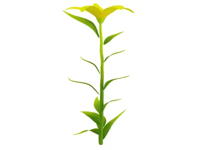 Plant 3D model