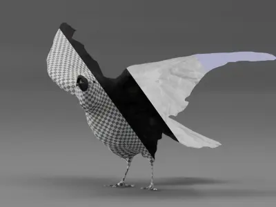 Photorealistic Raven Crow Low-poly 3D model